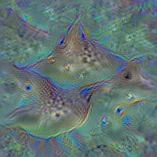 n01498041 stingray